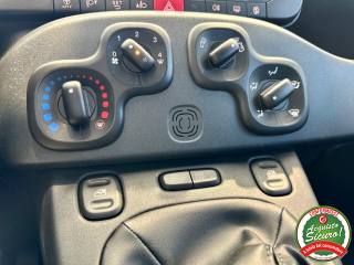 FIAT Panda usata, con Fendinebbia