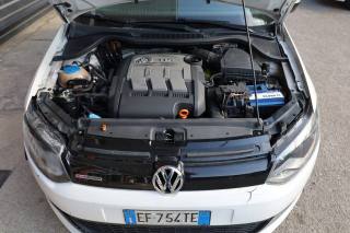 VOLKSWAGEN Polo usata, con Fendinebbia