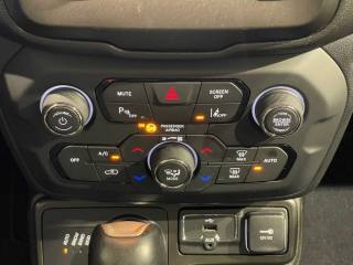 JEEP Renegade usata 28