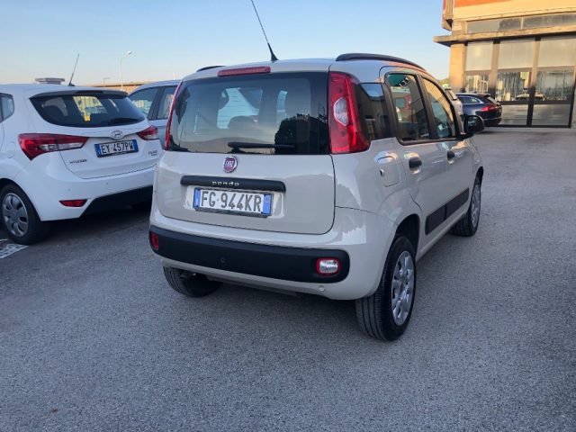 FIAT Panda usata, con Controllo trazione