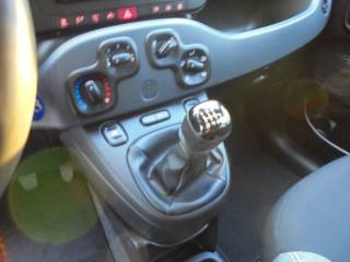 FIAT Panda usata 24