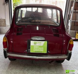 AUTOBIANCHI Bianchina usata 4