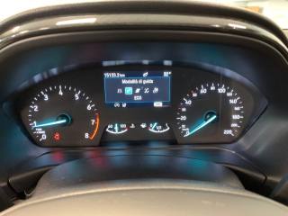 FORD Puma usata, con Cronologia tagliandi