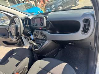 FIAT Panda usata, con Immobilizzatore elettronico