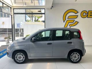 FIAT Panda usata, con Airbag Passeggero