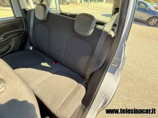 FIAT Panda Cross usata 19