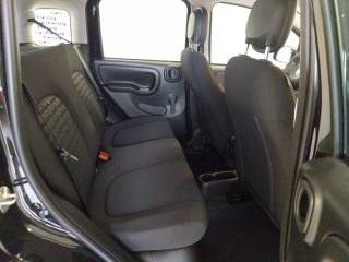 FIAT Panda usata, con Sensori di parcheggio posteriori