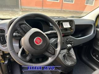 FIAT Panda usata, con Controllo trazione