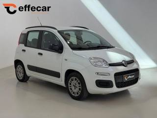 FIAT Panda usata, con Airbag Passeggero