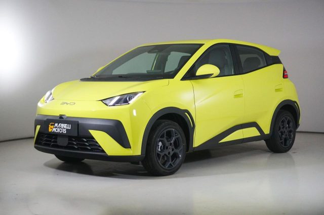 BYD Dolphin Surf usata, con Vivavoce