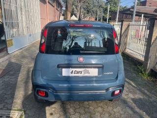 FIAT Panda Cross usata, con Alzacristalli elettrici
