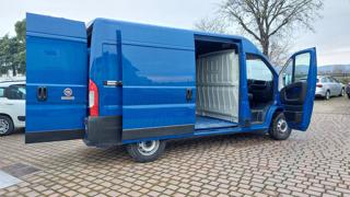 FIAT Ducato usata, con Divisori per bagagliaio