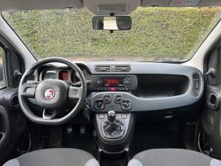 FIAT Panda usata, con Climatizzatore