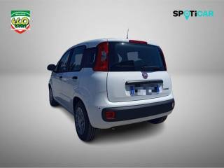 FIAT Pandina usata, con Chiusura centralizzata