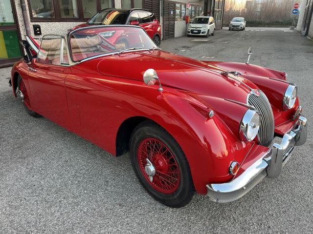 JAGUAR XK usata 14