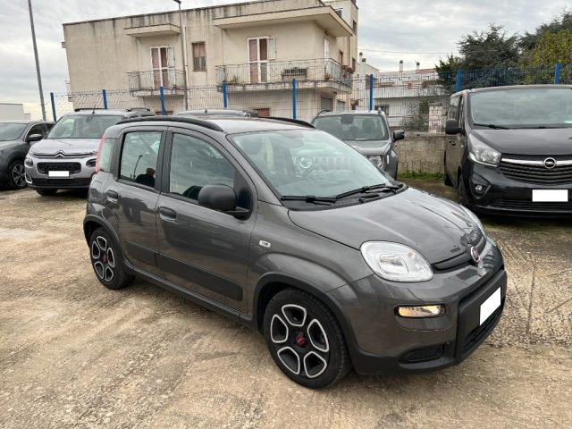 FIAT Panda usata 2