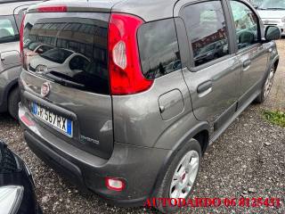 FIAT Panda usata, con Chiusura centralizzata
