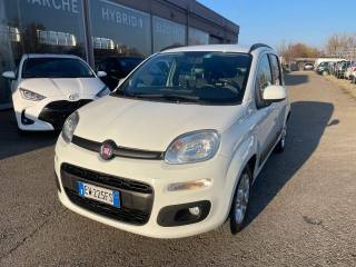 FIAT Panda usata 3