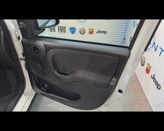 FIAT New Panda usata 15