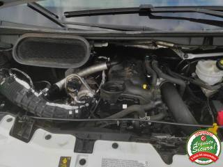 FORD Transit usata 14