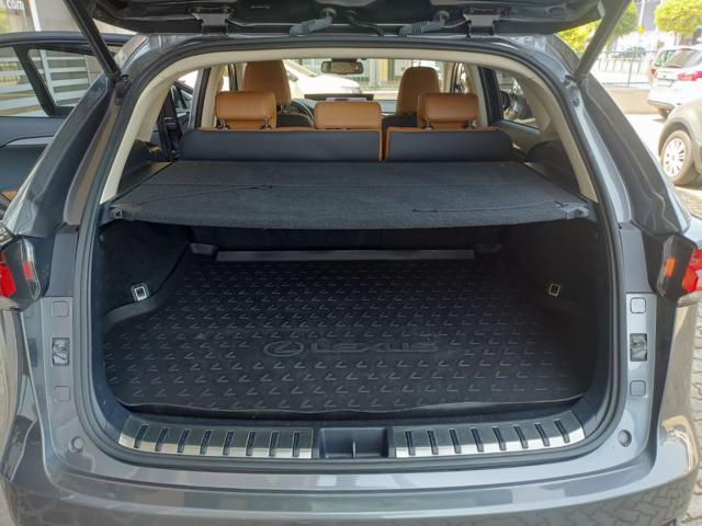 LEXUS NX 300 usata, con Antifurto