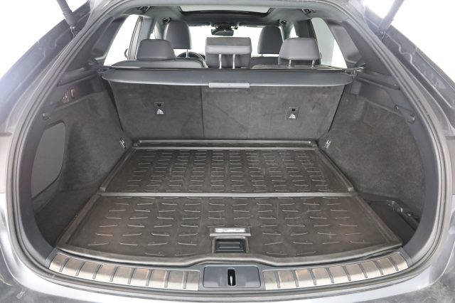 LEXUS RX 450h usata 5