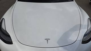 TESLA Model Y usata, con Cronologia tagliandi