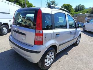 FIAT Panda usata 6