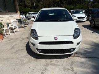 FIAT Punto usata, con Airbag
