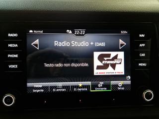 SKODA Kodiaq usata, con Vetri oscurati