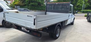 FORD Transit usata 4