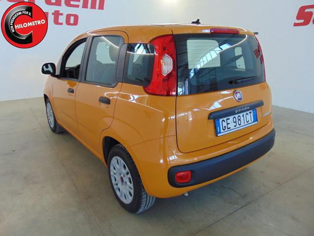 FIAT Panda usata, con USB