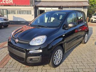 FIAT Panda 1.0 FireFly Hybrid 70cv S&S 5 Posti IVA ESPOSTA!!