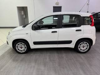FIAT Panda usata, con Controllo trazione