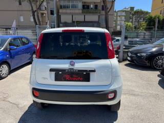 FIAT Panda usata, con Alzacristalli elettrici