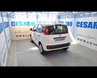 FIAT New Panda usata, con Alzacristalli elettrici