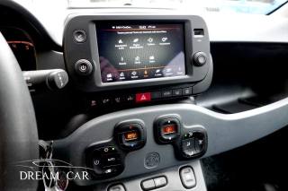 FIAT Panda usata, con Cronologia tagliandi