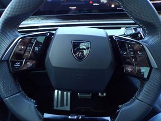 PEUGEOT 3008 usata 102