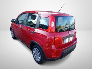 FIAT Panda usata, con Airbag Passeggero