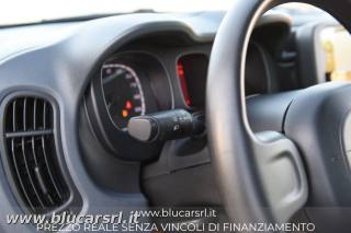 FIAT Panda usata 21