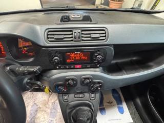 FIAT New Panda usata, con ESP