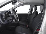 FIAT Panda usata 3