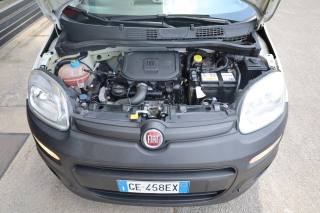 FIAT Panda usata 76