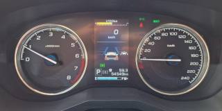 SUBARU Forester usata, con Fendinebbia
