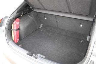 KIA XCeed usata, con Fendinebbia