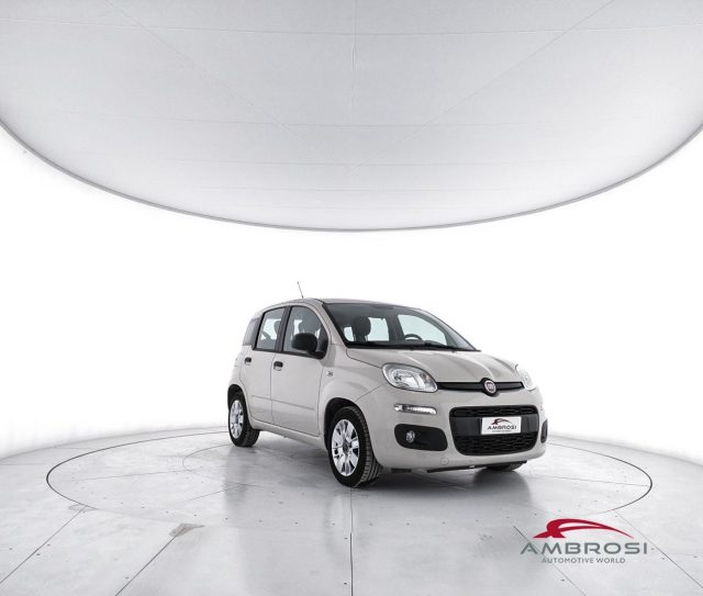 FIAT Panda usata 1