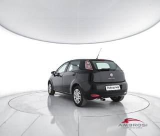 FIAT Punto usata 3