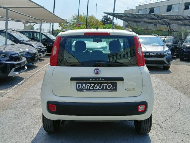 FIAT Panda usata 19
