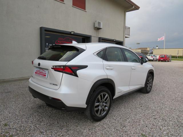 LEXUS NX 300 usata, con Alzacristalli elettrici