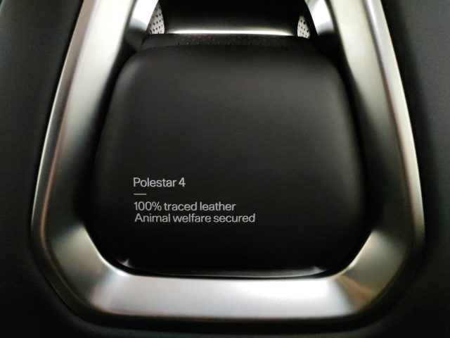 POLESTAR Polestar 4 usata, con Servosterzo